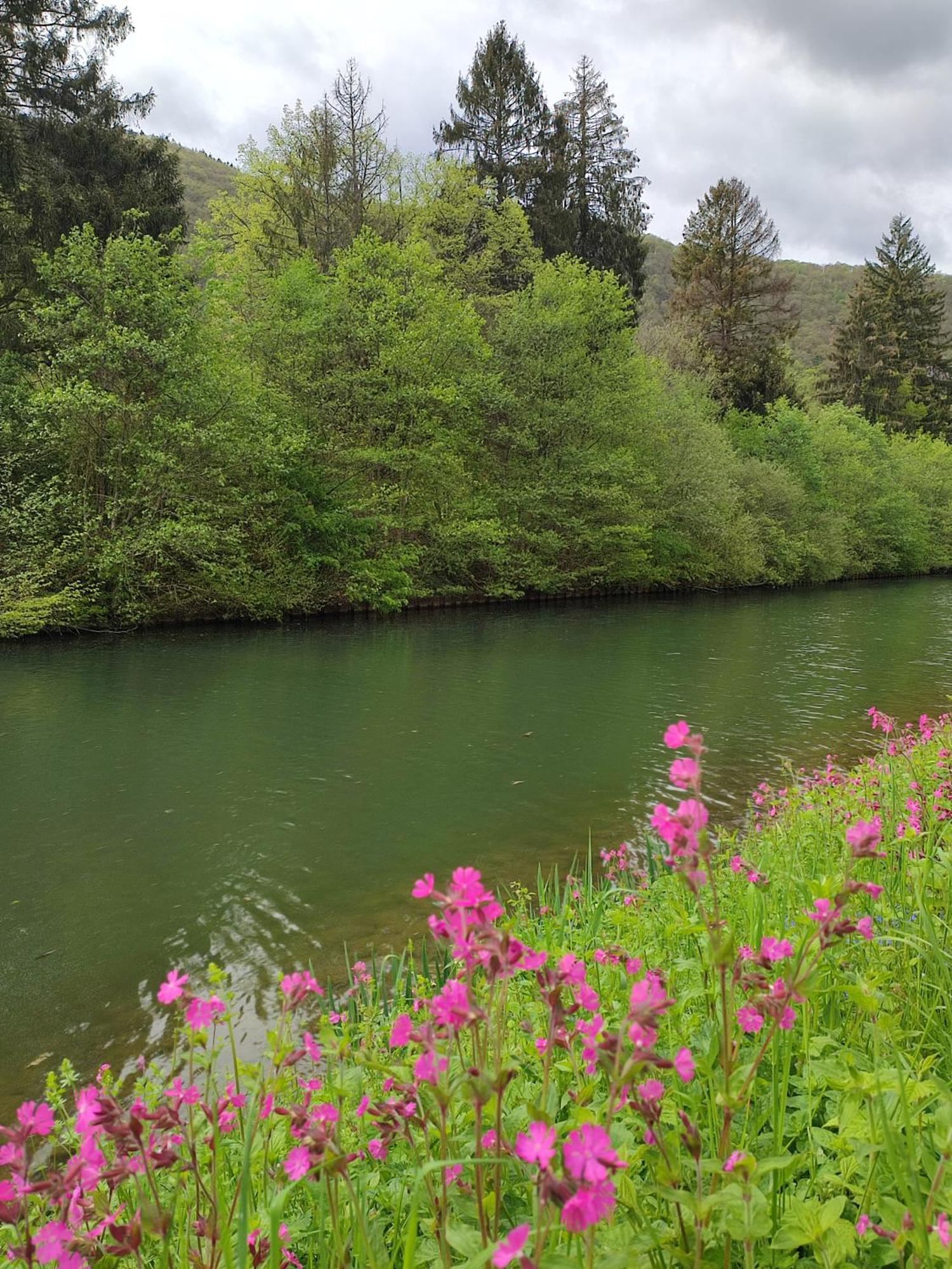 Entre Meuse Et Foret Revin  Экстерьер фото